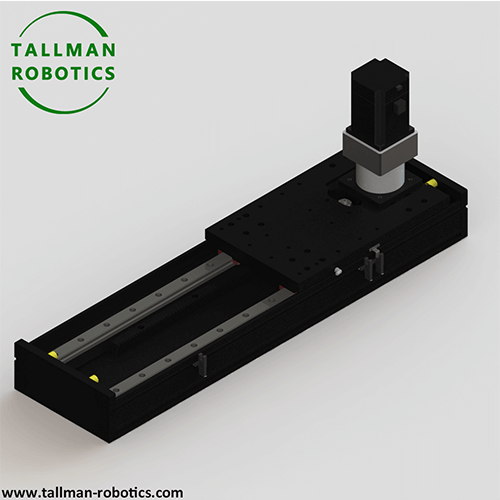 rack and pinion linear axis-- Tallman Robotics